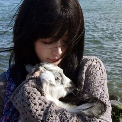 狗狗的疯狂假期